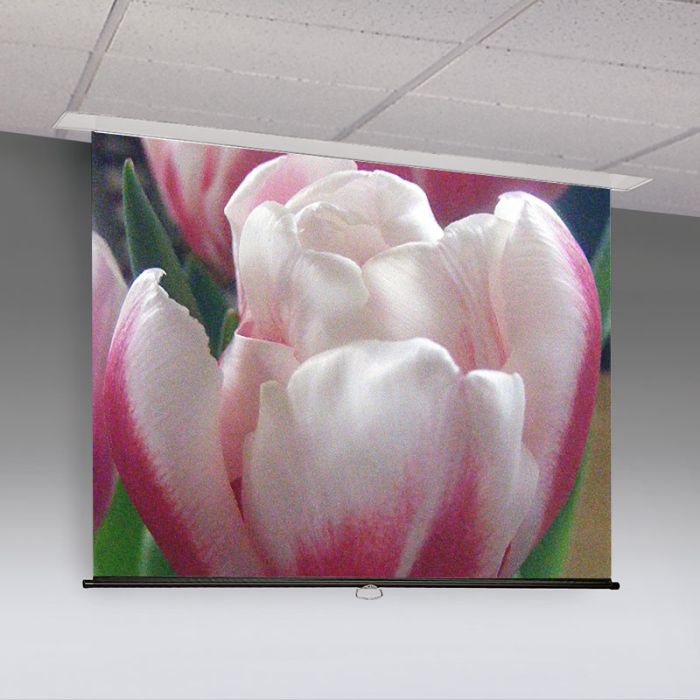 Access M Manual Projection Screen