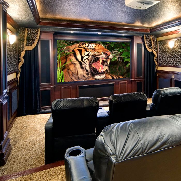 Clarion Fixed Projection Screen