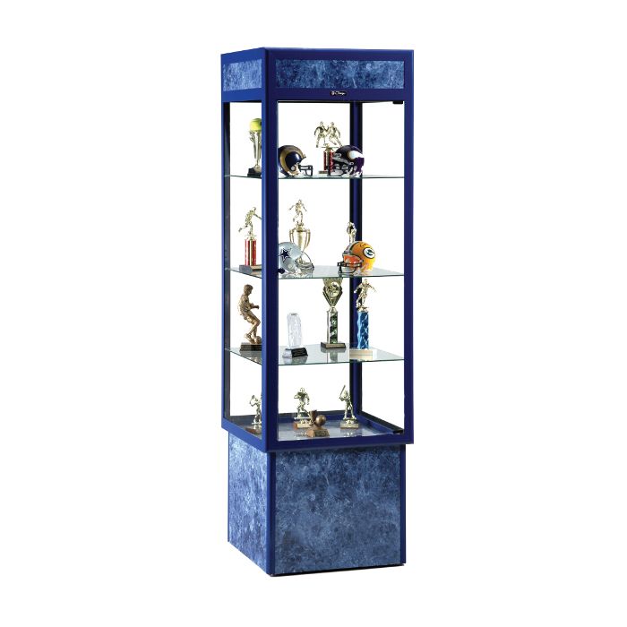 1452 Nouveau Display Case