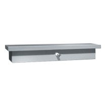 0318 Soap Dispenser and Shelf (One Liquid Valve) - Surface Mounted