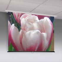 Access M Manual Projection Screen