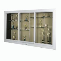 390 Large Door Recessed Display Case