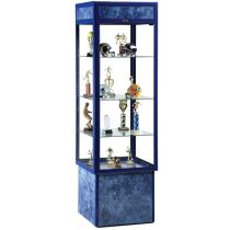 1452 Nouveau Display Case