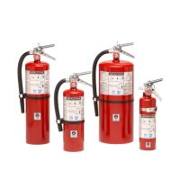 Galaxy 20 * EXTINGUISHERS Standard Dry Chemical with MB810 Bracket