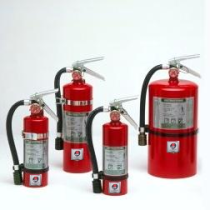 Mercury 15-1/2 EXTINGUISHERS   Halotron I with MB810 Bracket
